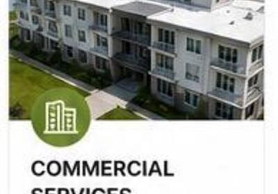Commercial Services