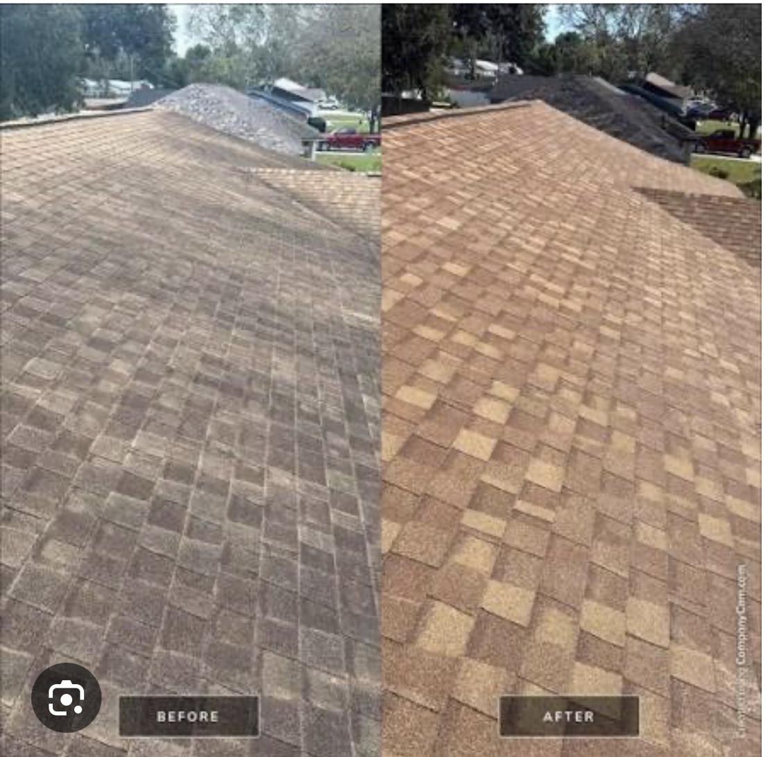 SoyRoof Before and After - Roof Treatment Results